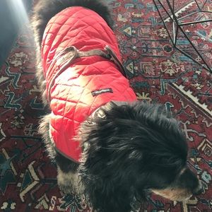 Red wagwear quilted dog jacket in size 16”